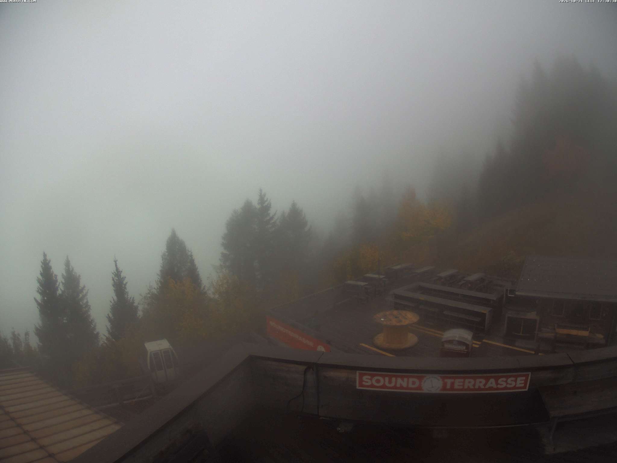 Brandnertal - Niggenkopf