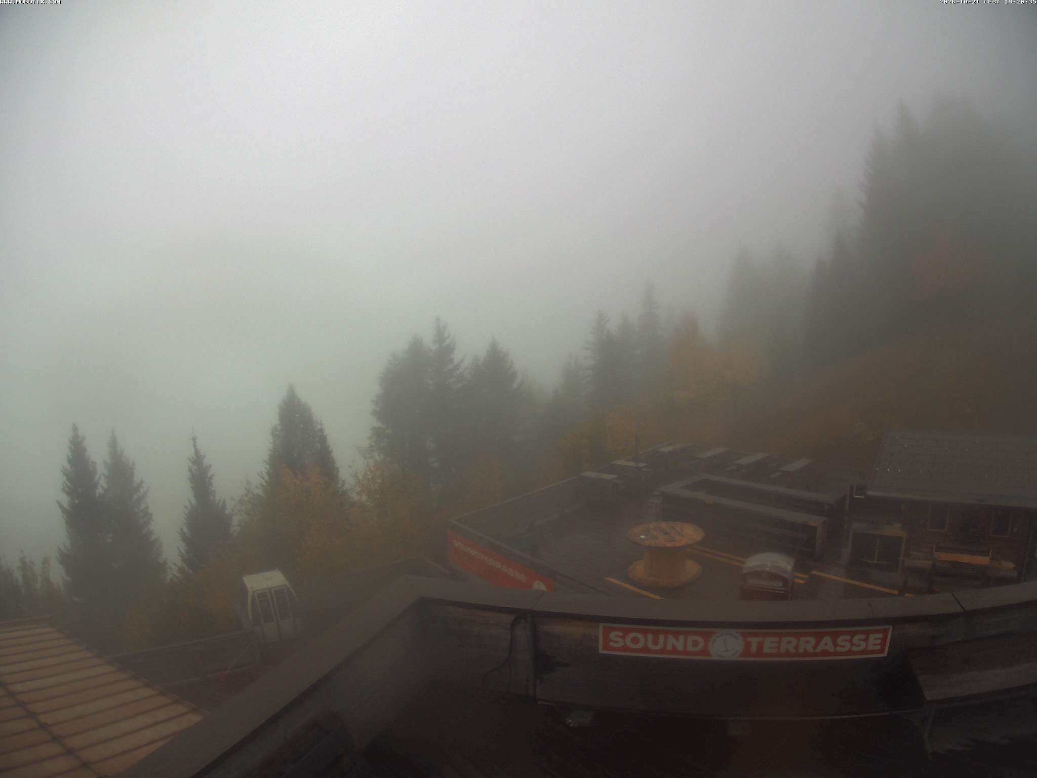 Brandnertal - Niggenkopf